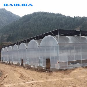 Side Ventilation Clear Multi Span Greenhouse With Outside Shading System