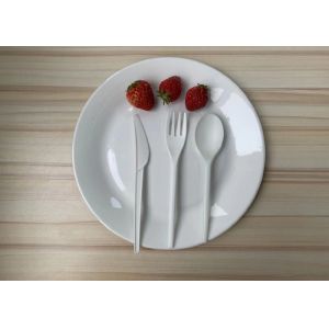 6" Lightweight CPLA Biodegradable Tableware For Birthday Party
