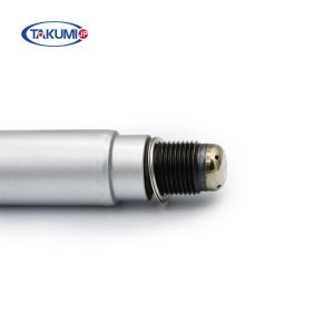 Anti Corrosion MWM TCG 3016 Spark Plug 12453566 S-R6A19 With Prechamber