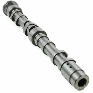 03C109101DC Engine Parts Camshaft for AUDI A3, VW MAGOTAN, SEAT ALHAMBRA (710,