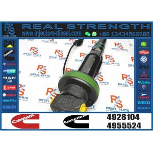 4964170 Diesel QSK19 Engine Common Rail Fuel Injector 4955524 2867149 4955527