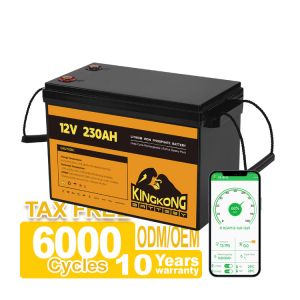 Cheap Power Tools OEM ODM 12.8V 100ah 200ah 300ah Lithium Battery Pack 12V With APP Control for sale