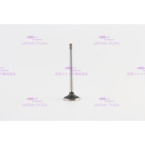 20798533 20849979 Diesel Engine Valve D6E For EC210B EC220D EW145B EW205D