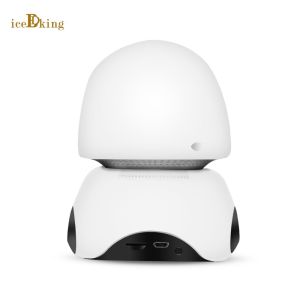 Wide Angle Home Security Mini Digital Video Camera For House and Offices