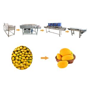 China Industrial Fruit Washer And Sorting Line Apple Mango Washing Machine 400-600KG/H Fruit Cleaner Machine on sale