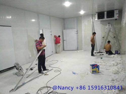 Quality refrigerated storage ，the temperature is between-10℃ and -20℃,there is no limit to the refrigerated time wholesale