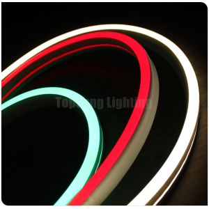 Mini led Flex neon 12V for bridge architecture swimming pool light flat 11x19mm