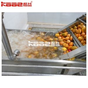 Automatic Turnkey Mango Processing Line Industrial Beverage Production
