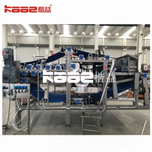 Mulberry Concentrated Juice Processing Line Fully Automatic Machine