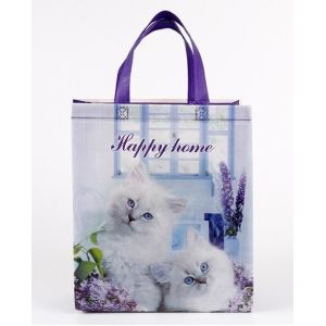 Custom Promotional shopping tote fabric polypropylene laminated pp non woven bag, Wholesale high promotion laminated rec