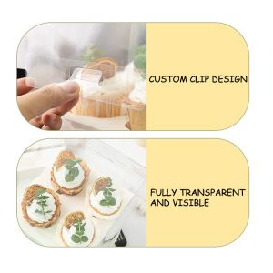 OEM PET Cupcake Transparent Clear Box Folding Carry Out With Divider Handle