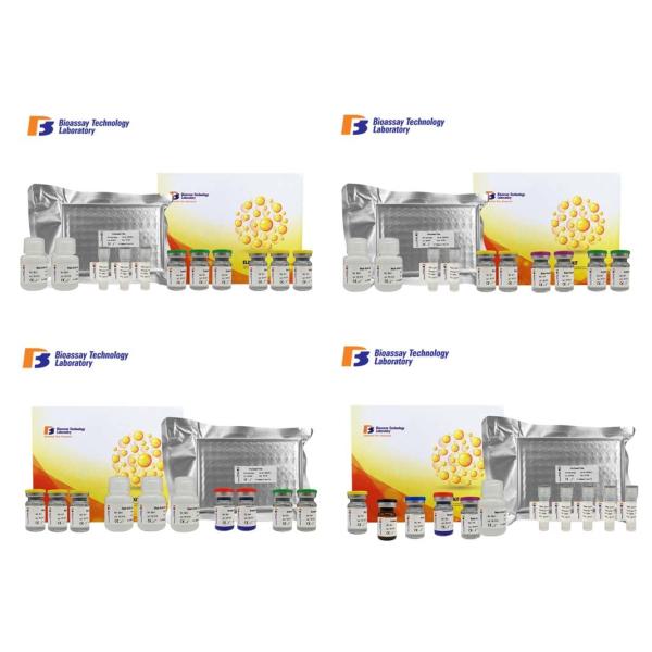 Quality Human High Sensitive Elisa Assay Kit Cytochrome P450 1A2 Customized CYP1A2 wholesale