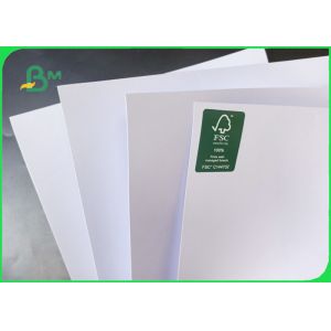 80 Grams Smooth Surface Wear Resistance Inkjet Plotter Paper In Roll