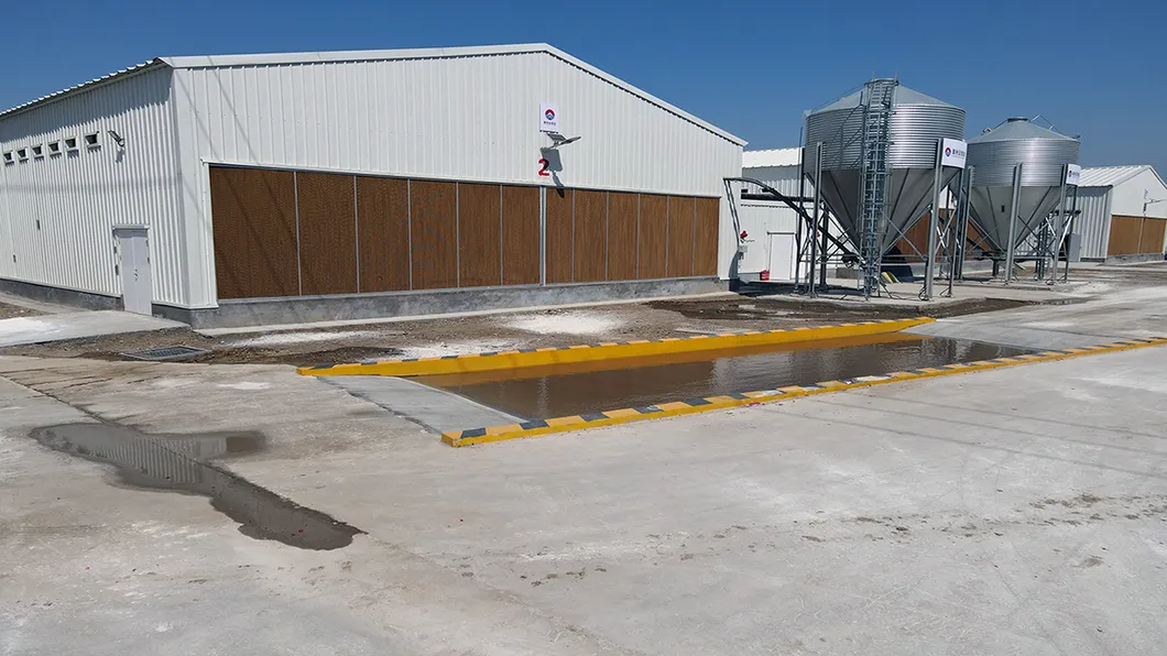 Hot Dip Galvanized Metal Steel Broiler Layer Poultry House With Automatic Brooding Equipment