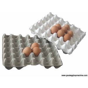 Egg Crate Moulding plant(FC-ZMG6-48)