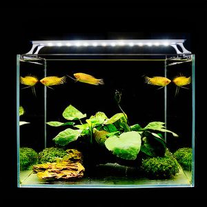 BK-AL17-60(48) Newly upgraded 5730 chip long life and high brightness simple