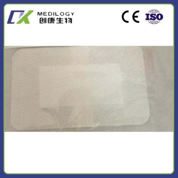 Quality Transparent PU Wound Dressing Disposable Waterproof Self Adhesive Sterile Dressings wholesale