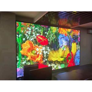 P2 Led Module 256mm*128mm Use Indoor Led Display For Led Video Wall Stage Rental