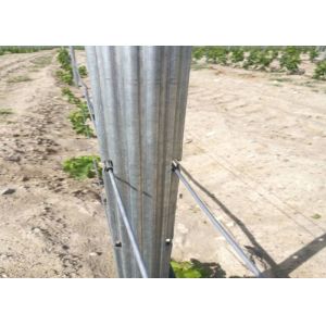 Grape Trellis Post 275gr HDG 54x30mm Grape Plantation Steel Grape Post
