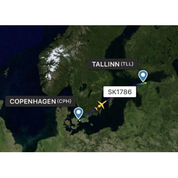 Quality One Stop Global Freight Forwarder Economic With Competitive Rates wholesale