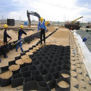 2m Normal Width Geocell HDPE Gravel Stabilizer Ground Grid Wantong Geo Cell 50mm