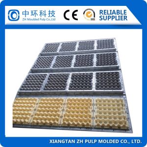 Machine Use Egg Carton Mould , Industrial Paper Pulp Molding