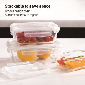 Borosilicate Glass Food Container with Vented 4 Lock PP Lid