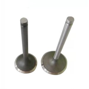 TEM MD088811 MD088812 Mitsubishi 6G72 Intake Valve Exhaust Valve