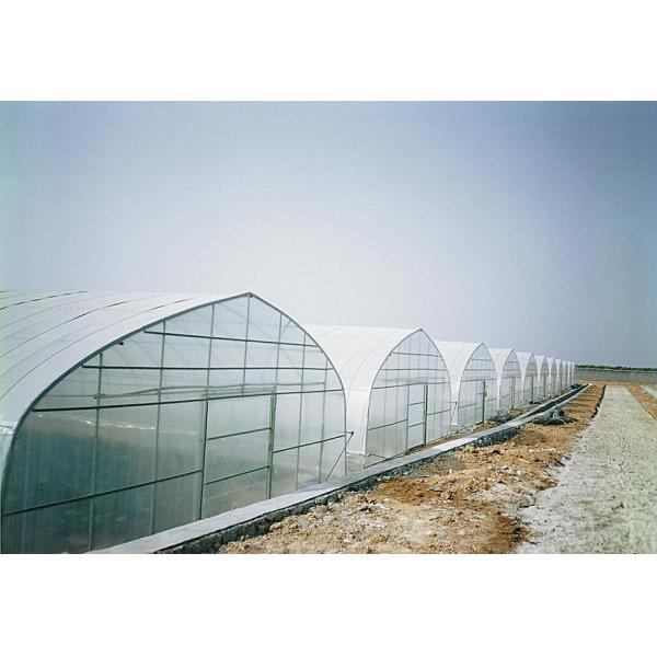 Simply Structure Single Tunnel Greenhouse Dustproof Anti Mildew With Insect Net