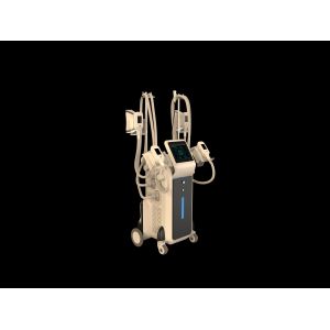 China Cryolipolysis slimming machine fat freezing liposuction machine best cryolipolysis machine on sale