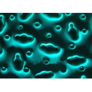 Solid Structure Artistic Glass Tile , 300X300MM Dynamic Patterned Laminated