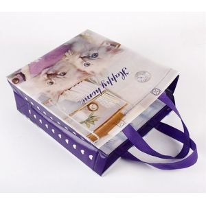 Custom Promotional shopping tote fabric polypropylene laminated pp non woven bag