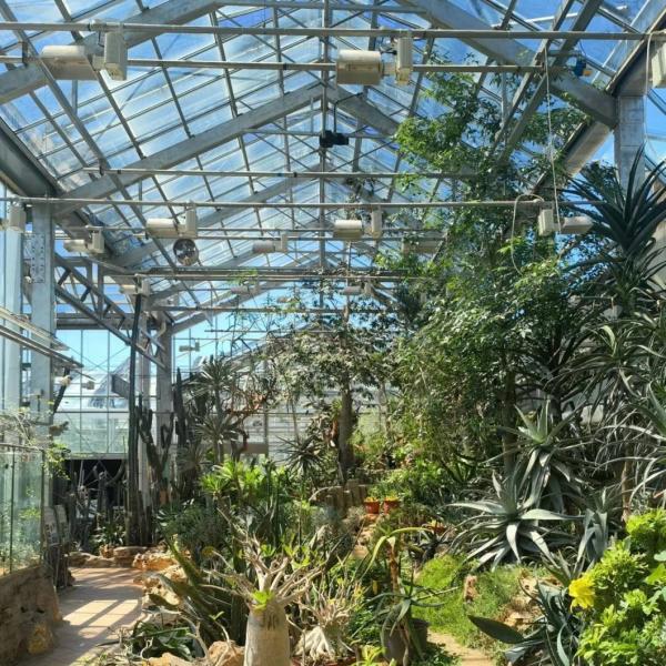 Reasonably Priced Glass Greenhouse Hydroponic System