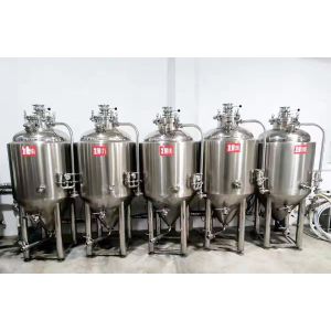 Adjustable Voltage 1BBL Stainless Steel Wine Fermentation Tank for Best Beer
