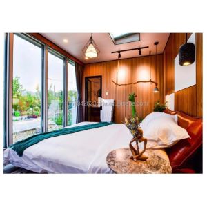 Customized Color 40ft LOFT Family Style Mobile House with Prefabricated Steel Structure and Wooden Exterior Wall