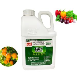 Inoculant Microbial Organic Fertilizer soil conditioner fertilizer