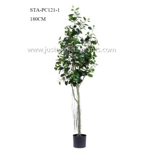 Ideal Tropical Artificial Banyan Tree Small Leaves Special Design Eco Friendly