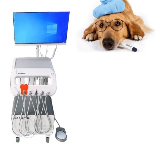 Quality Vet Surgical Dental Treatment Unit With Computer And Build In Air Compressor wholesale