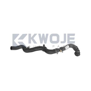 OEM F25-1303111 Auto Parts Engine Radiator Coolant Inlet Hose For Chery Jetour