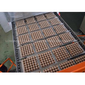 Recycled Paper Egg Tray Machine , 2000pcs/h Automatic Egg Tray Making Machine