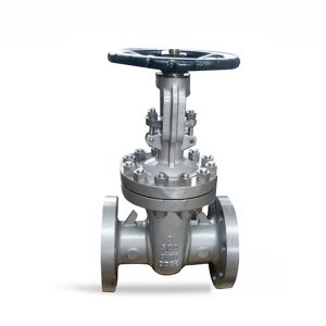 1''-8'' Flange End Stainless Steel 316 Manual Gate Valve with Customized OEM