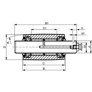 Cheap Bearings for Material Handling System: Other Special Bearings NKIA12×25.5×61.5-2RS for sale