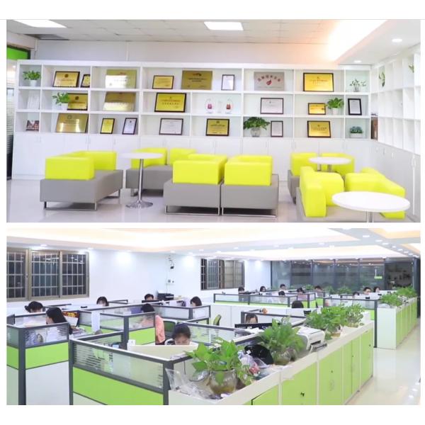 Mousses Flower Shaped Foam Pump Bottle 250ml 300ml Hand Soap Dispenser Bottle