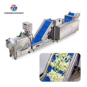 Fruit and vegetable cutting, hoisting and washing production line Fruit