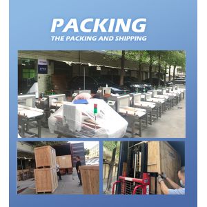 High Tech Automated Conveyor Belt Sorting Equipment For Weighing Sorting Weight