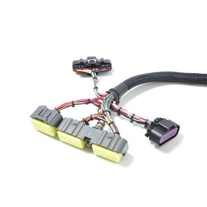 Customized Auto Engine Wiring Harness Cable Assembly for OEM Color in America
