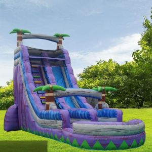 2024 40 ft Inflatable Bounce House Slide Customized Size Allowable Passenger 5
