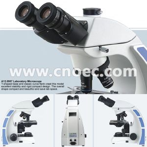 400X 1000X Compound Optical Microscope Kohler Illumination Microscopes A12.0907