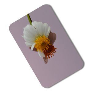 28 Gauge 8K Mirror Finish Stainless Steel Sheet 201 304 6K Cold Rolled Colored