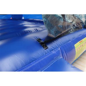 Customized Color Inflatable Water Slide for Unisex Commercial Bouncer and Bouncy
